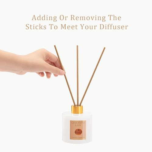 Chloefu LAN Pumpkin Chai Reed Diffuser Oil Set