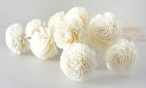 10 Jasmine Sola Flower Reed Diffusers for Home Fragrance
