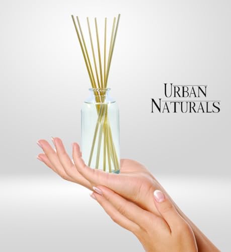 Urban Naturals Eucalyptus Sage Reed Diffuser Set
