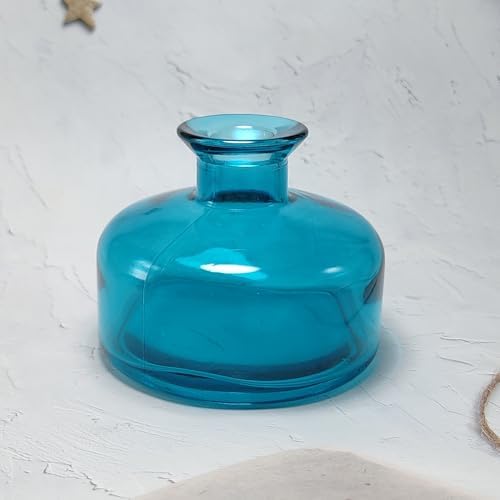 1Pcs 200ml Glass Diffuser Bottle for Aromatherapy and Home Decor