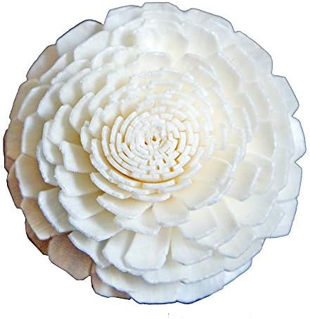 10 Jasmine Sola Flower Reed Diffusers for Home Fragrance