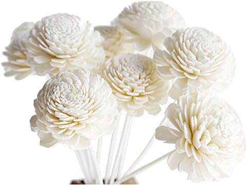 10 Jasmine Sola Flower Reed Diffusers for Home Fragrance