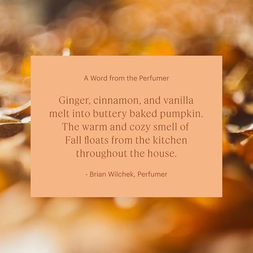 Aera Mini Pumpkin Spice Scent Refill - Limited Edition