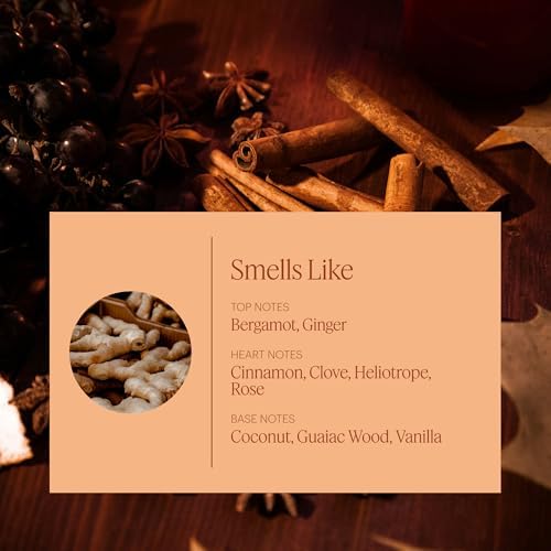 Aera Mini Pumpkin Spice Scent Refill - Limited Edition