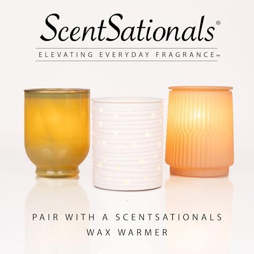 Scentsationals Wax Melts Coral Shores 24-Cubes 10oz