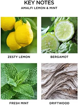 NEST New York Reed Diffuser Liquid Refill Amalfi Lemon Mint 59 fl oz