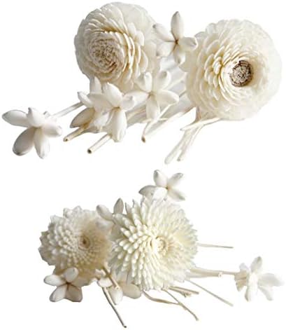2 Sets Sola Flower Arrangement with Reed Diffuser for Home Fragrance