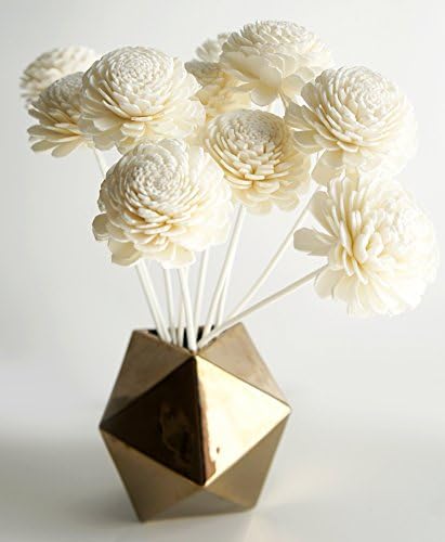 10 Jasmine Sola Flower Reed Diffusers for Home Fragrance