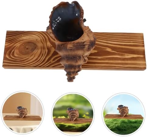 LIFKICH Decorative Tabletop Fountain with Heavy Duty Pump Sea Conch Style Water Feature for Garden and Home