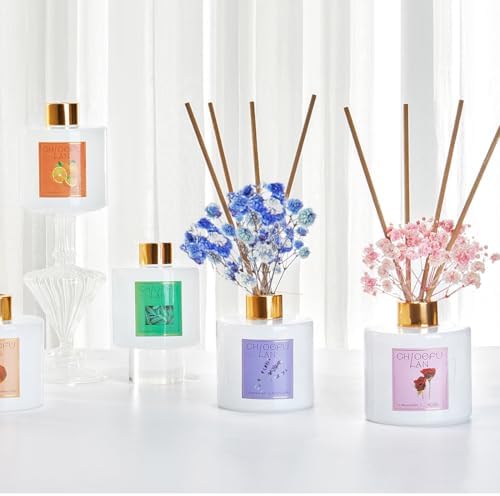Chloefu LAN Pumpkin Chai Reed Diffuser Oil Set