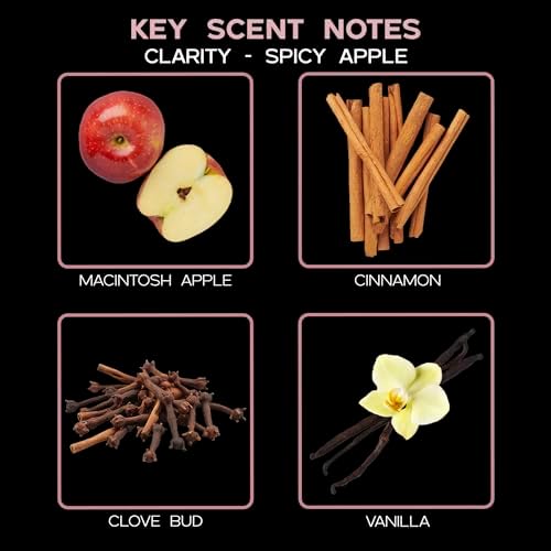 LOVSPA Clarity Spicy Apple Cinnamon Reed Diffuser Oil Refill 4 oz