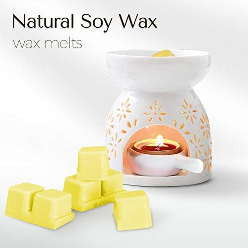 SCENTORINI Scented Wax Melts 8 Flavors 25 oz