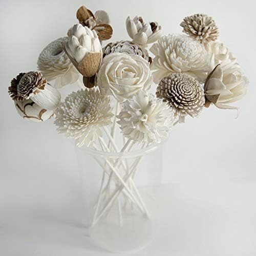 12 Mixed Sola Flower Reed Diffuser for Home Fragrance by Plawanature