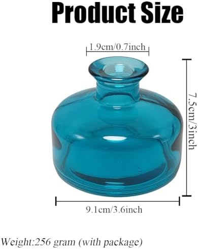 1Pcs 200ml Glass Diffuser Bottle for Aromatherapy and Home Decor