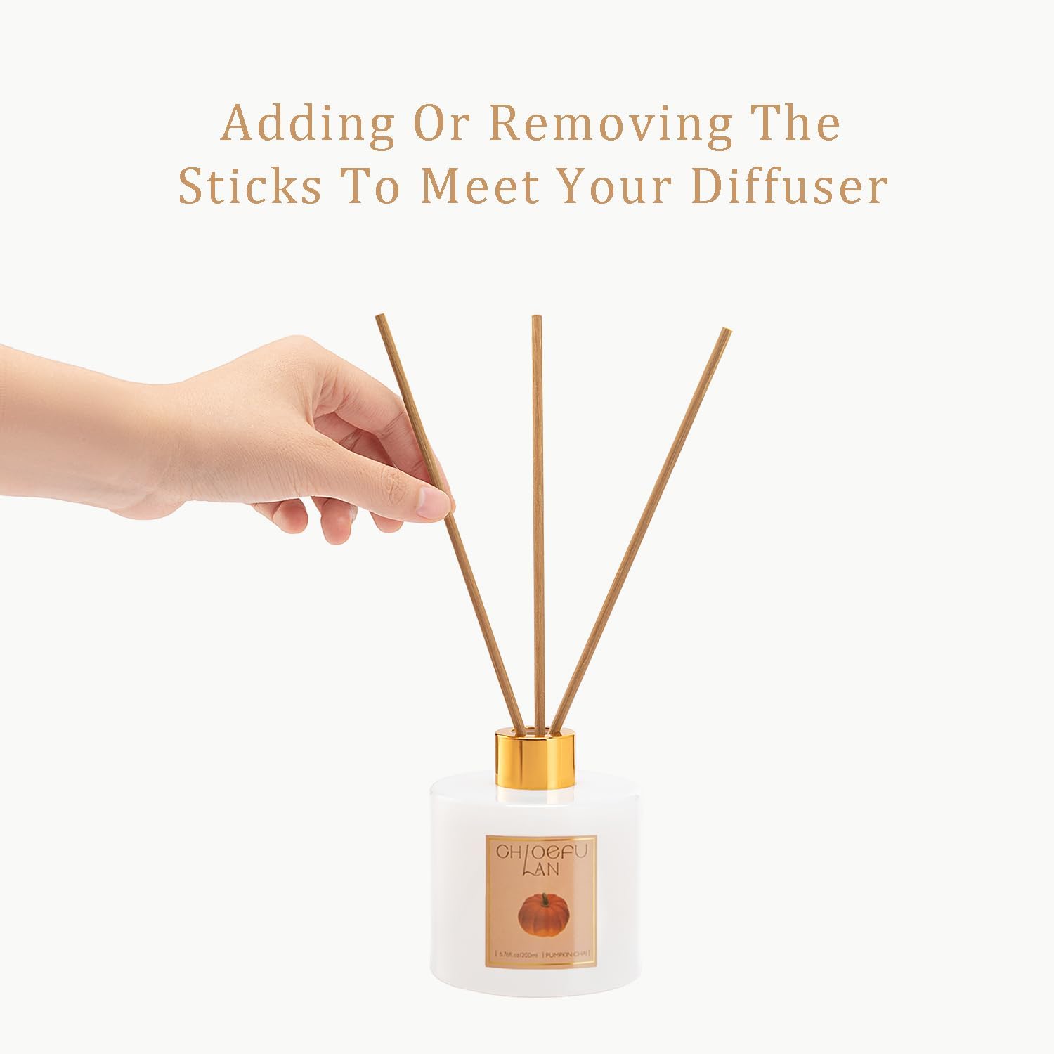 Chloefu LAN Pumpkin Chai Reed Diffuser Oil Set