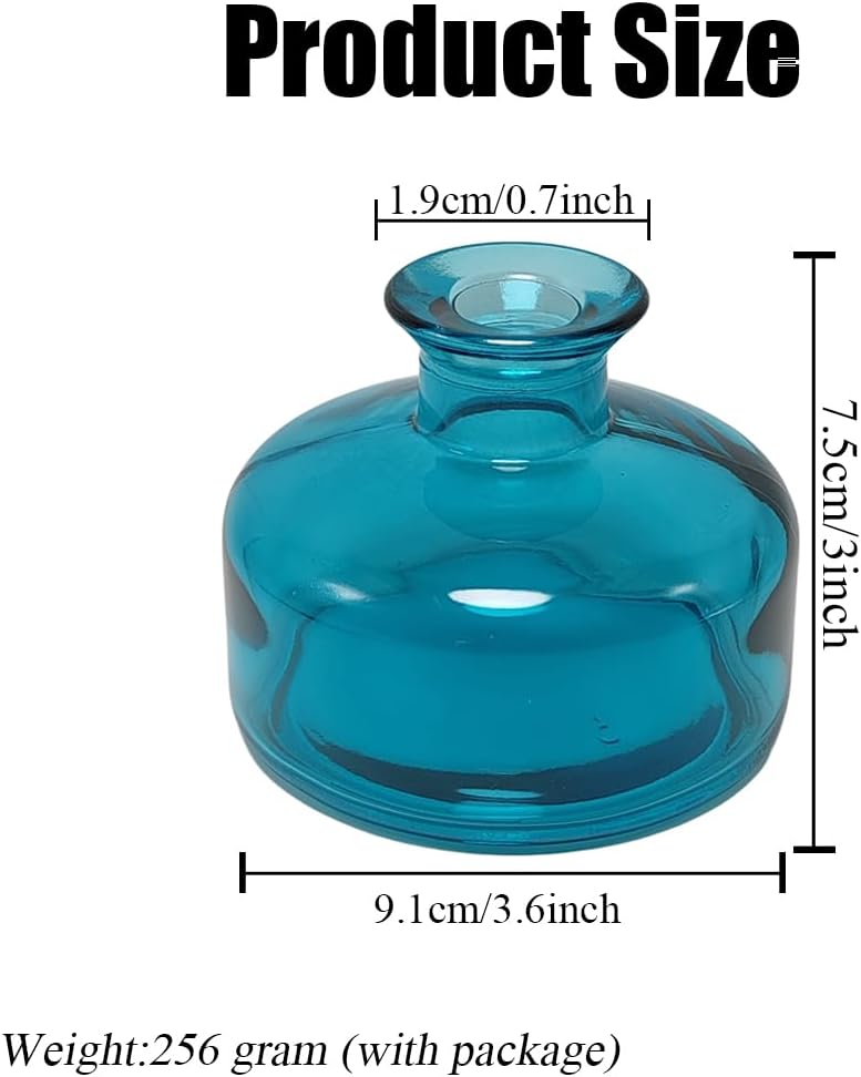 1Pcs 200ml Glass Diffuser Bottle for Aromatherapy and Home Decor
