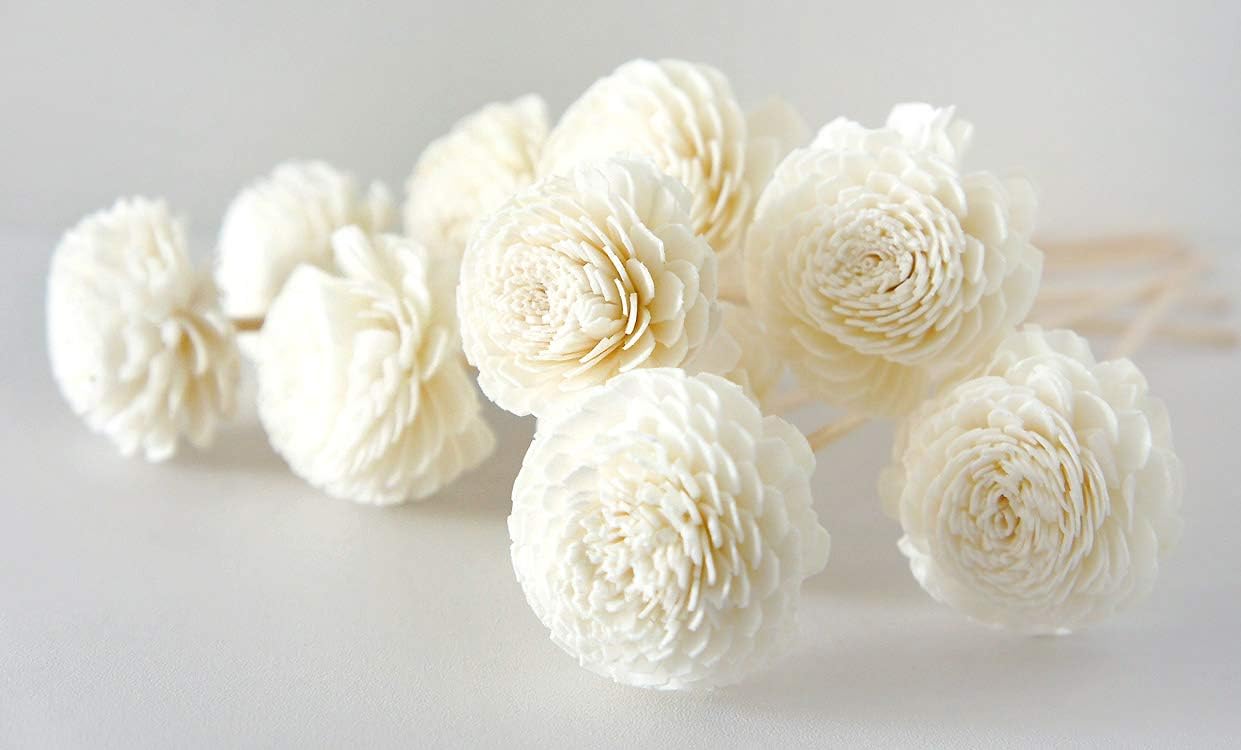 10 Jasmine Sola Flower Reed Diffusers for Home Fragrance