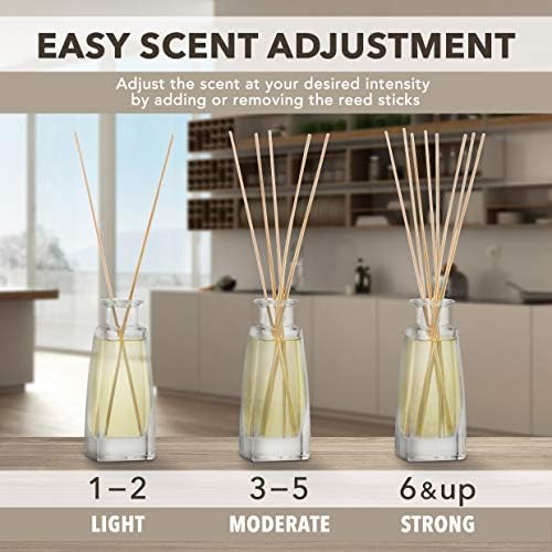 AROMATIKA Reed Diffuser Ginger Basil 34 Fl Oz