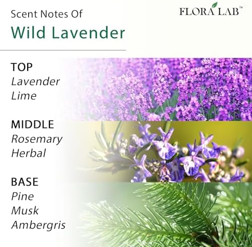 Flora Lab Reed Diffuser Set with Real Dried Flowers and Rattan Sticks