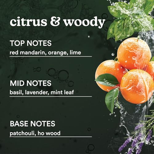 Homedics SereneScent Mandarin Basil Fragrance Oil 120 ml