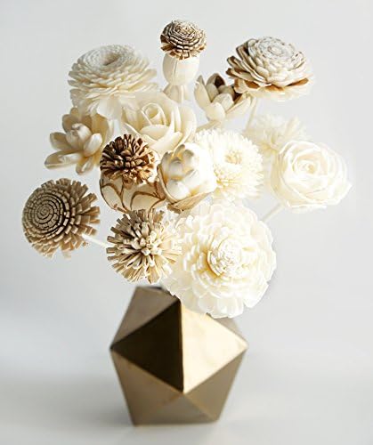12 Mixed Sola Flower Reed Diffuser for Home Fragrance by Plawanature