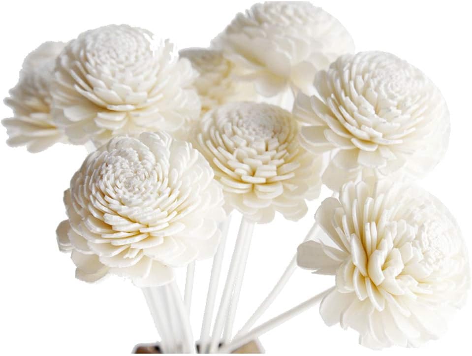 10 Jasmine Sola Flower Reed Diffusers for Home Fragrance
