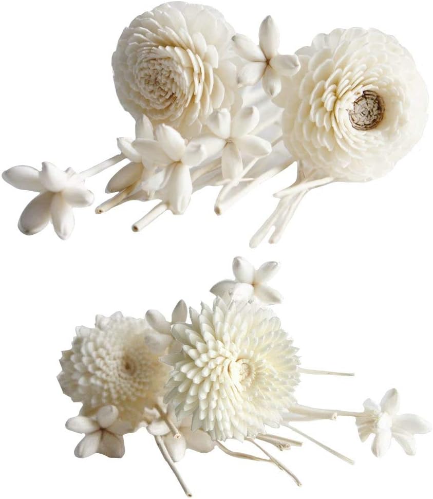 2 Sets Sola Flower Arrangement with Reed Diffuser for Home Fragrance