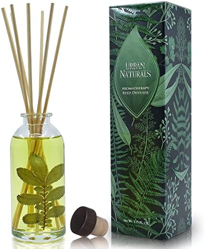 Urban Naturals Eucalyptus Sage Reed Diffuser Set