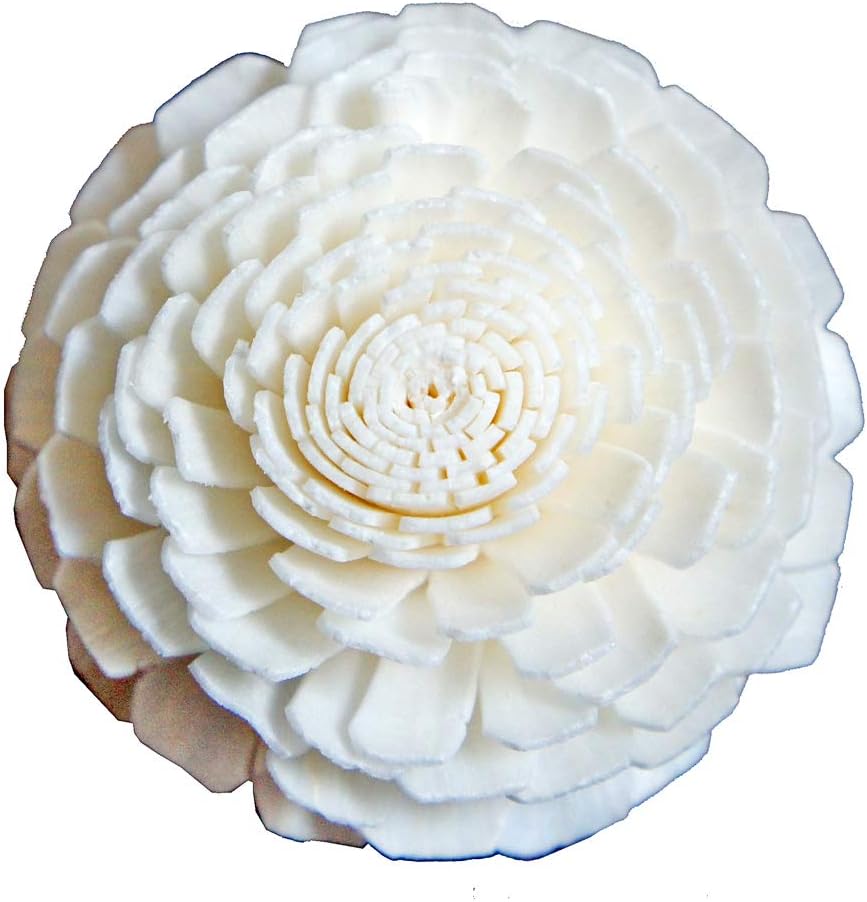 10 Jasmine Sola Flower Reed Diffusers for Home Fragrance