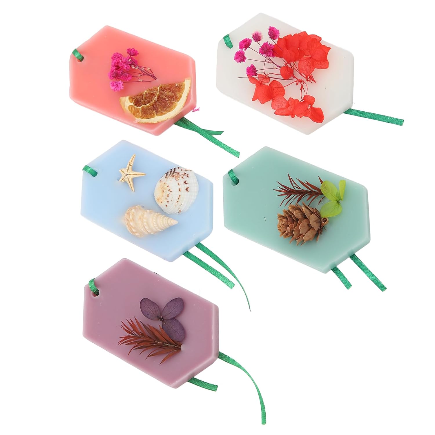 Sonew 5 Pack Floral Fruity Scented Wax Cubes