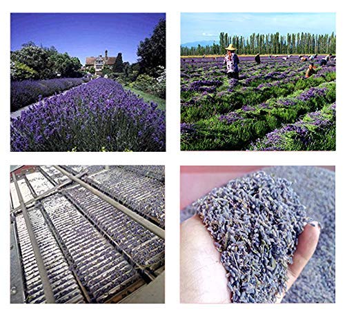 Lavender Flowers Dried Lavender Buds 8oz Culinary Grade