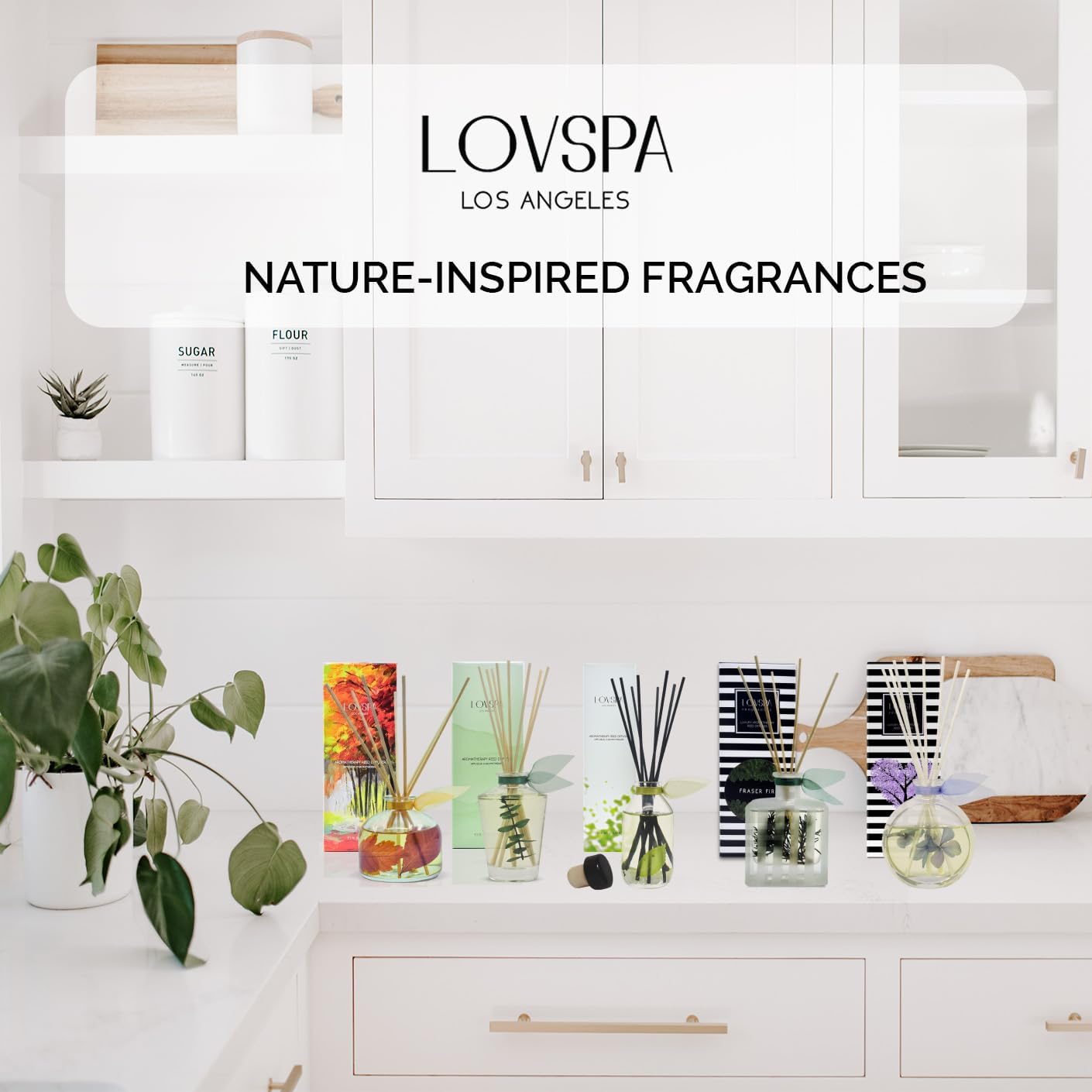 LOVSPA Clarity Spicy Apple Cinnamon Reed Diffuser Oil Refill 4 oz