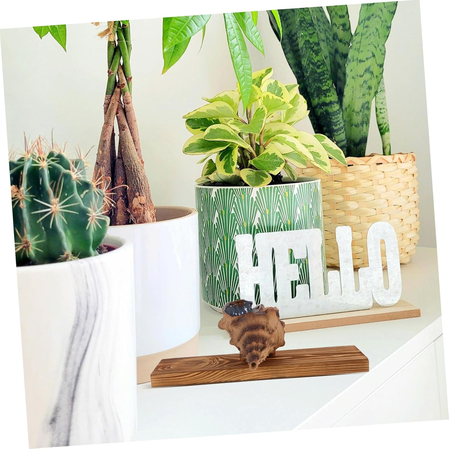 LIFKICH Decorative Tabletop Fountain with Heavy Duty Pump Sea Conch Style Water Feature for Garden and Home