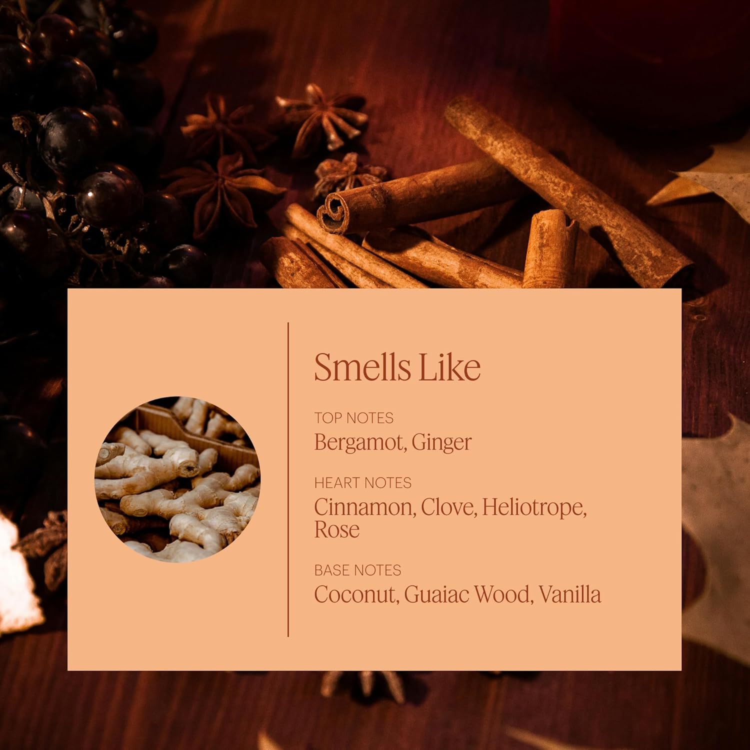Aera Mini Pumpkin Spice Scent Refill - Limited Edition