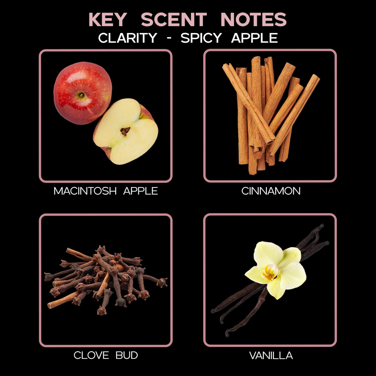 LOVSPA Clarity Spicy Apple Cinnamon Reed Diffuser Oil Refill 4 oz