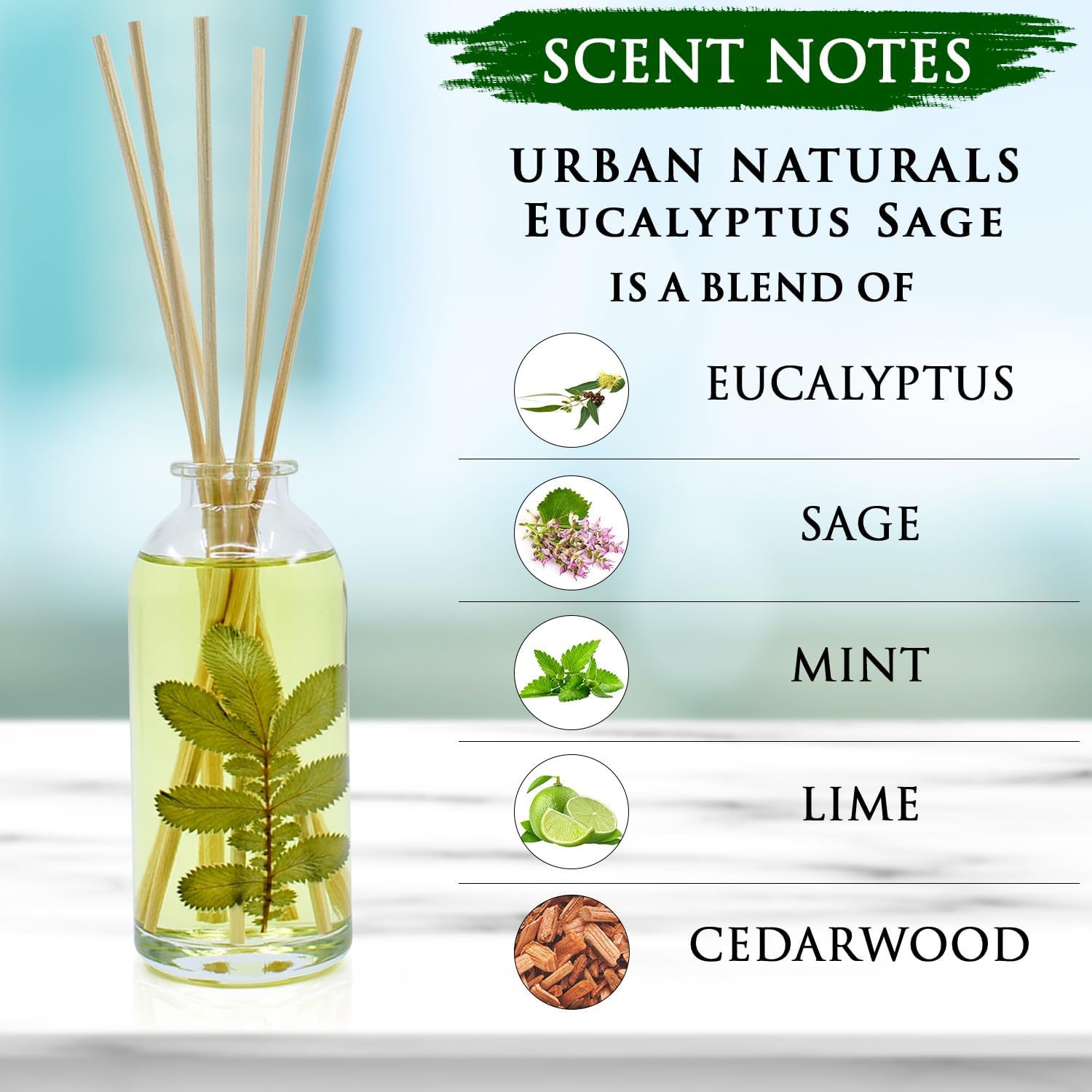 Urban Naturals Eucalyptus Sage Reed Diffuser Set