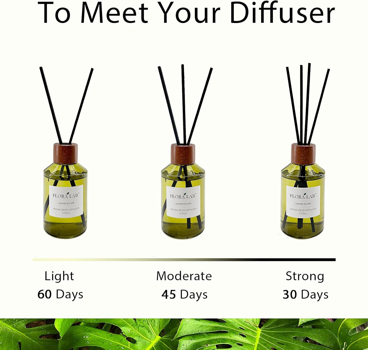 Flora Lab Reed Diffuser Set with Real Dried Flowers and Rattan Sticks