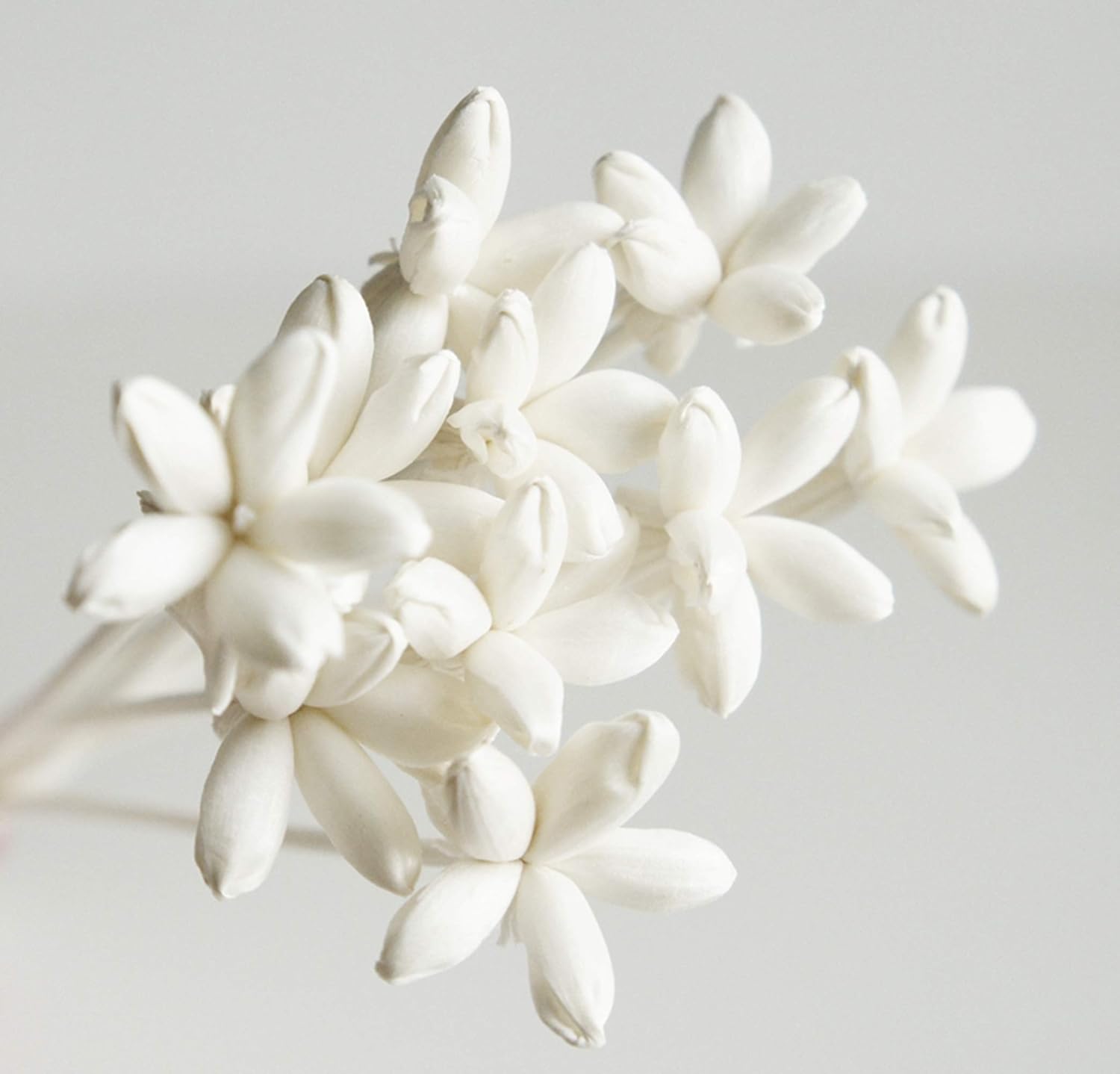 40 Mini Night Jasmine Reed Diffuser Oils for Home Fragrance