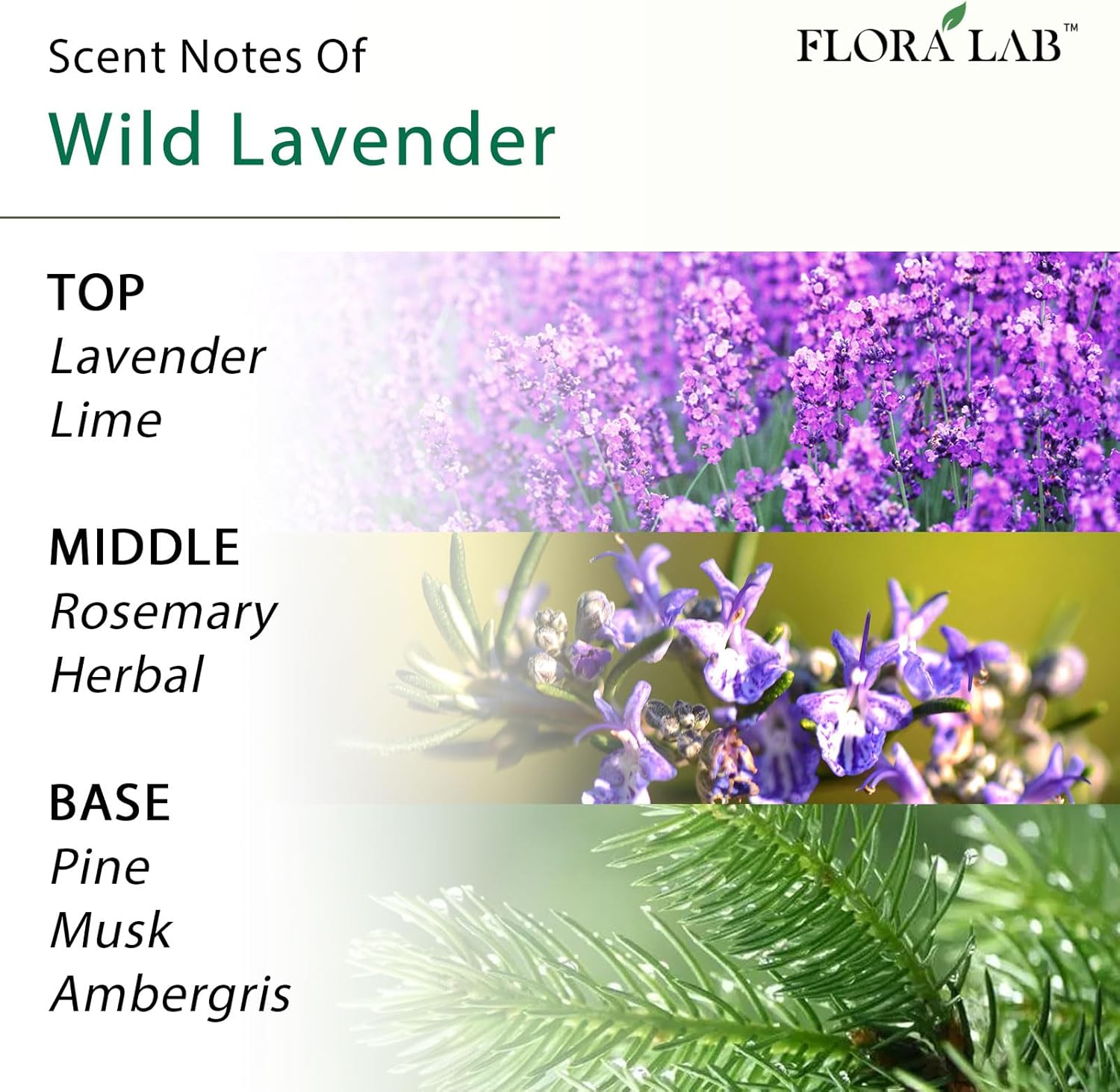 Flora Lab Reed Diffuser Set with Real Dried Flowers and Rattan Sticks