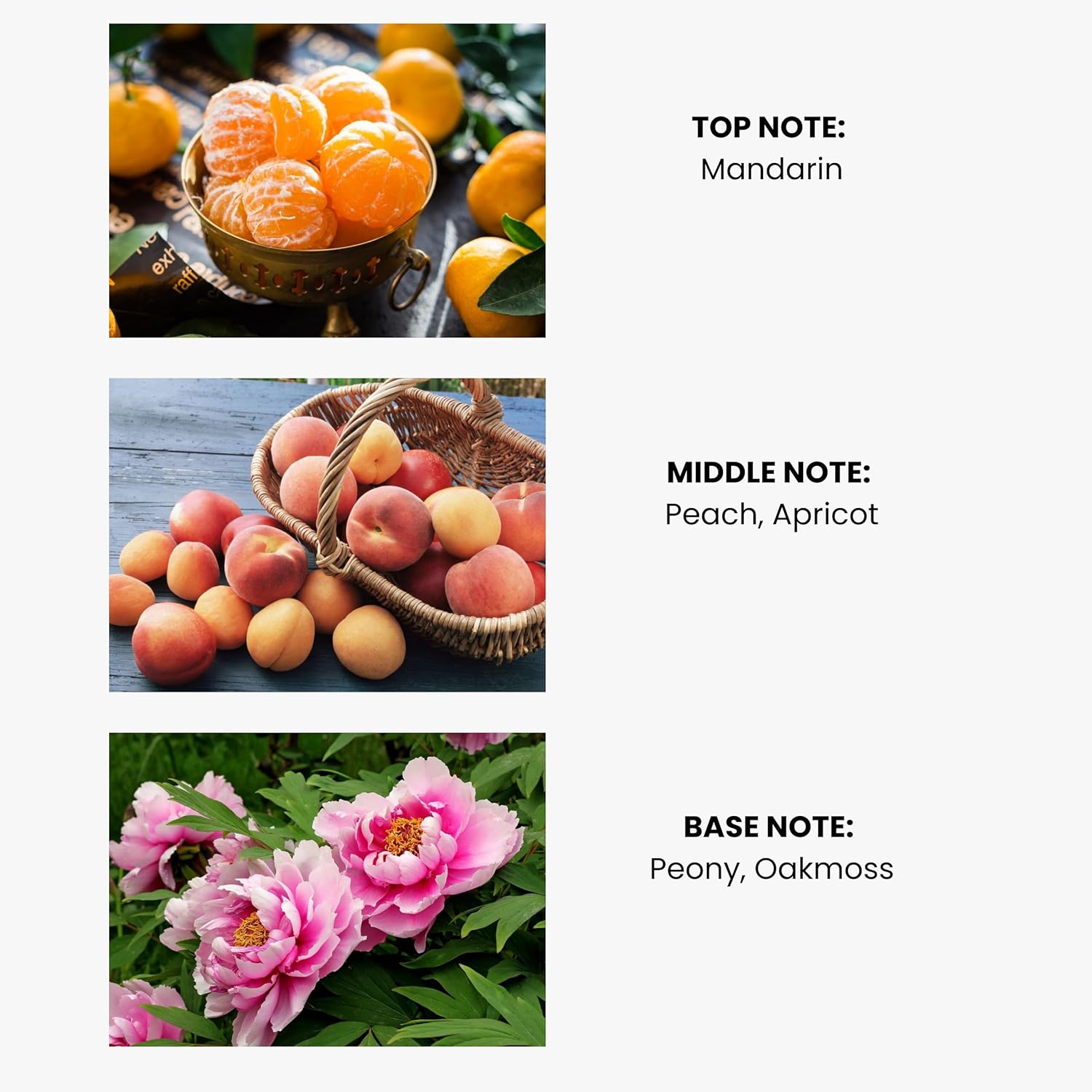 Apricot Essential Oil for Diffusers - 100ml