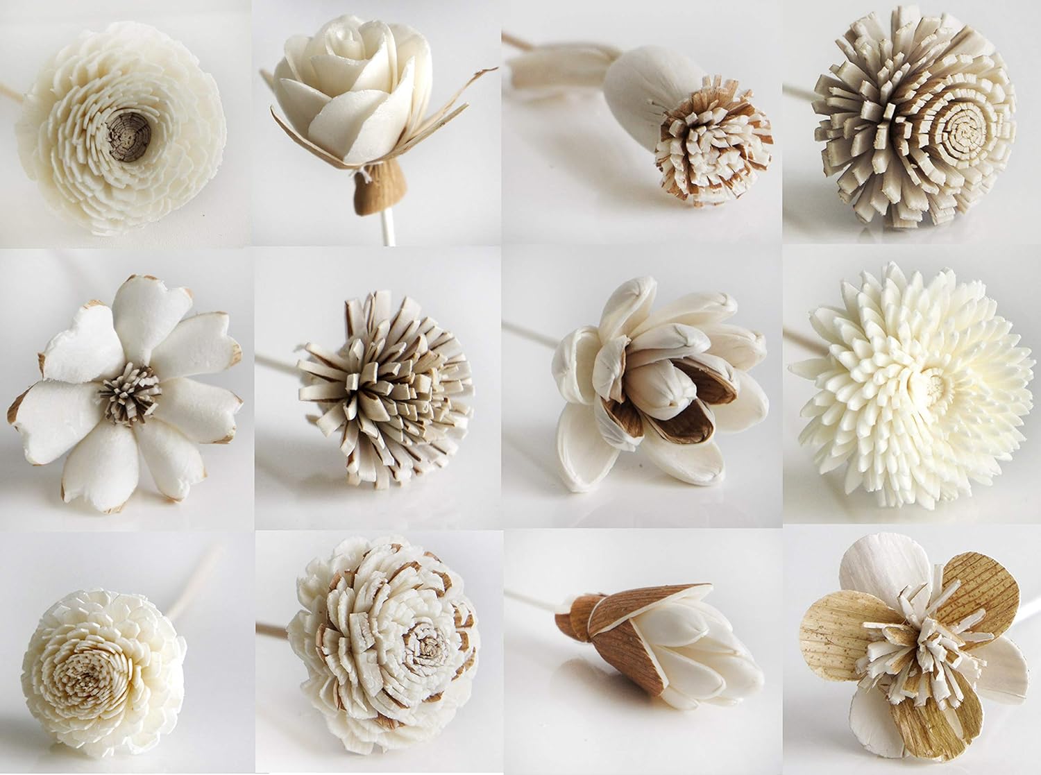 12 Mixed Sola Flower Reed Diffuser for Home Fragrance by Plawanature