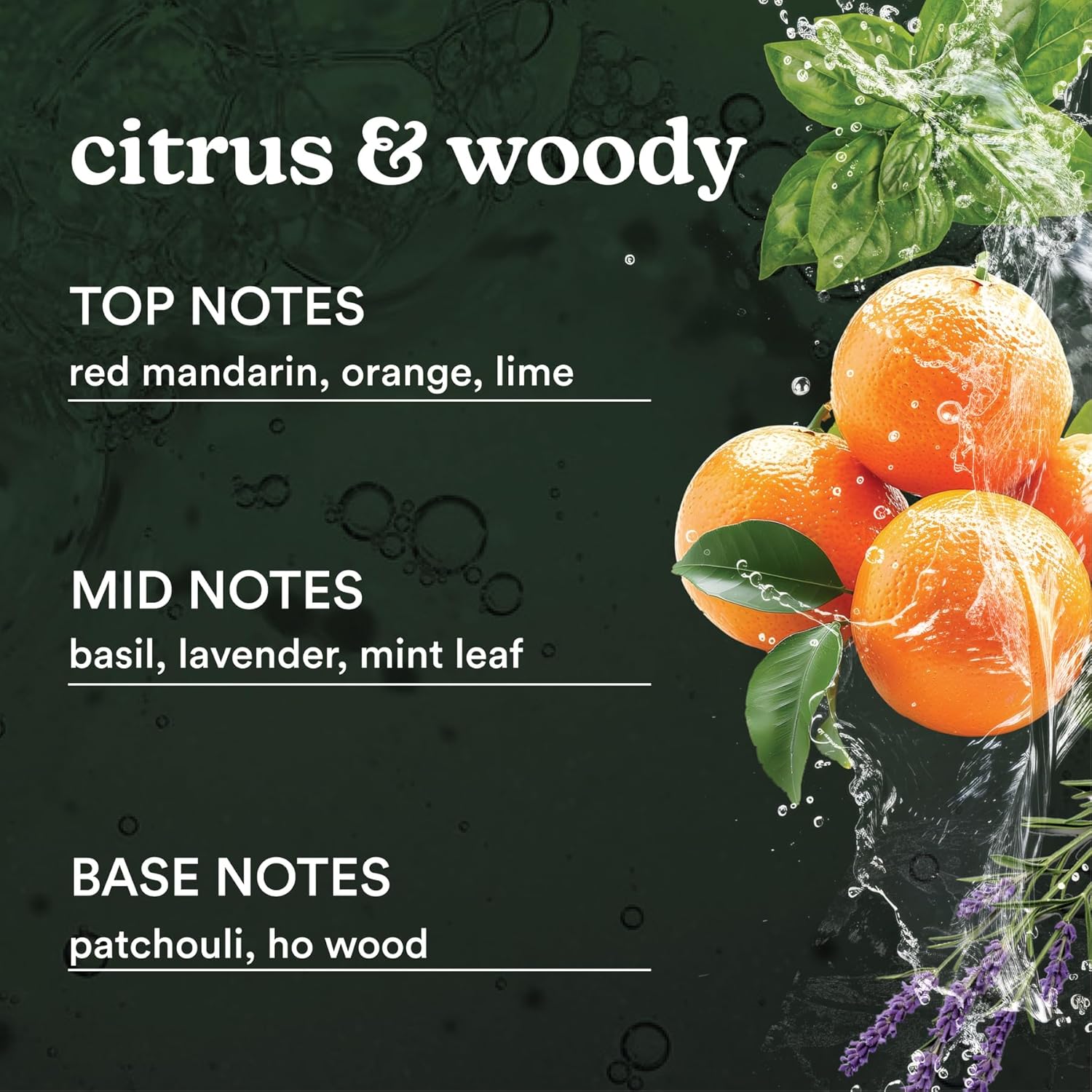 Homedics SereneScent Mandarin Basil Fragrance Oil 120 ml